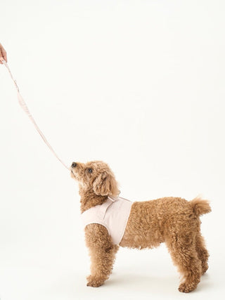 [CAT & DOG] Leash