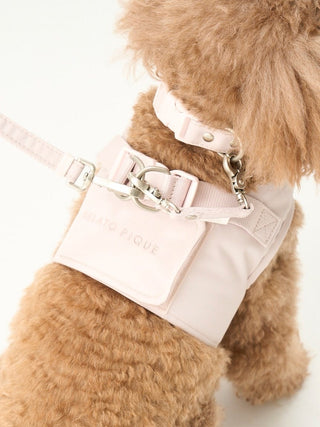 [CAT & DOG] Leash
