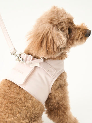 [CAT & DOG] Leash