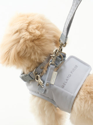 [CAT & DOG] Leash
