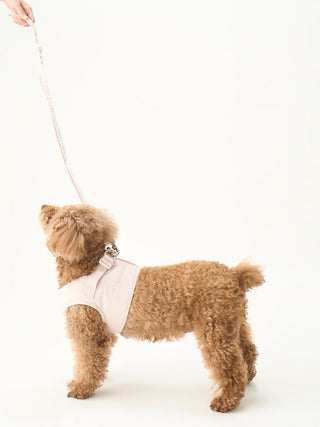 [CAT & DOG] Leash