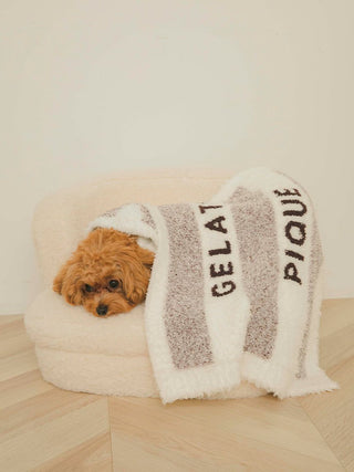 [CAT&DOG] Gelato Melange 2 Border Pet Blanket in brown, Premium Luxury Pet Apparel, Pet Clothes at Gelato Pique USA.