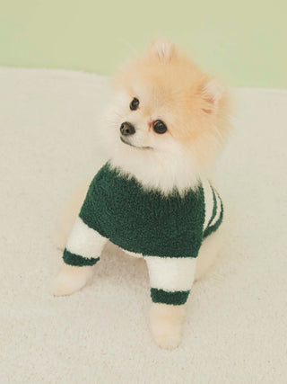 Bear with Hat Pattern High Neck Pet Clothes in green, Premium Luxury Pet Apparel, Pet Clothes at Gelato Pique USA.