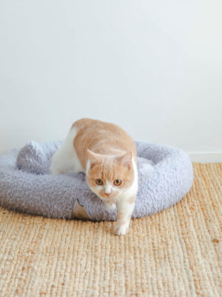 CAT&DOG Gelato Feather Cat Bed