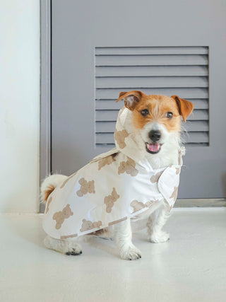 Small dog wearing CAT&DOG bear motif rain poncho indoors, showcasing pet fashion with bear pattern design.