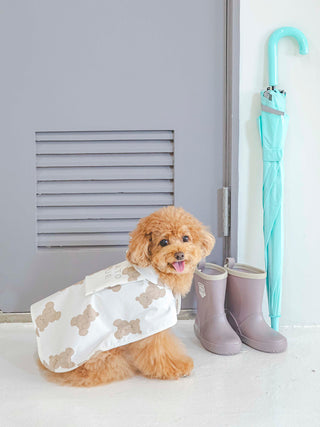 Small dog wearing CAT&DOG Bear Motif Pet Rain Poncho next to blue umbrella and grey boots