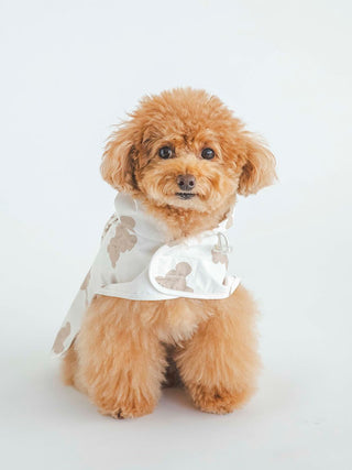 CAT&DOG Pet Rain Poncho in BROWN, Premium Luxury Pet Apparel, Pet Clothes at Gelato Pique USA.