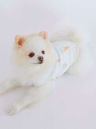 CAT&DOG Ice Pattern COOL Pet Clothes in BLUE, Premium Luxury Pet Apparel, Pet Clothes at Gelato Pique USA.