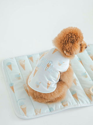 Fluffy dog sitting on CAT&DOG Ice Cream Motif Cooling Mat, featuring whimsical ice cream print by GELATO PIQUE USA.