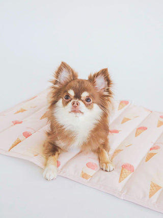 Chihuahua lounging on CAT&DOG Ice Cream Motif Cooling Mat, featuring colorful ice cream cones. Ideal for stylish pet comfort.