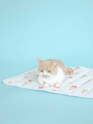 Cat sitting on ice cream motif cooling mat by GELATO PIQUE USA against a blue background