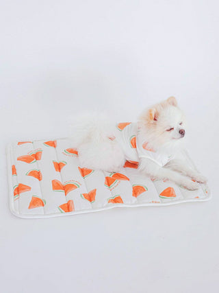 CAT&DOG Watermelon Pattern Pet Cooling Mat in OFF WHITE, Premium Pet Accessories for fur dog and cats at Gelato Pique USA.