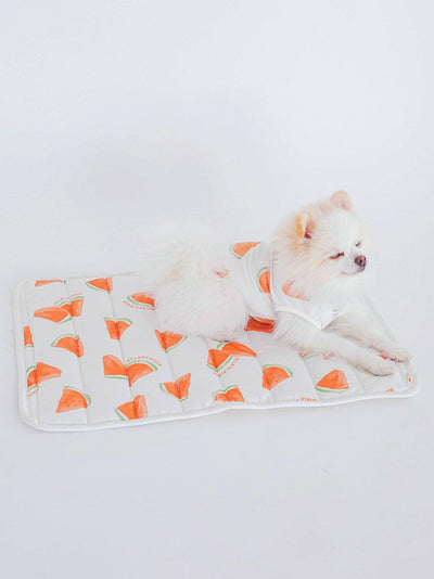 CAT&DOG Watermelon Pattern Pet Cooling Mat gelato pique