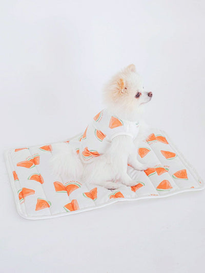 CAT&DOG Watermelon Pattern Pet Cooling Mat gelato pique