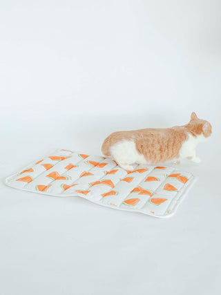 CAT&DOG Watermelon Pattern Pet Cooling Mat in OFF WHITE, Premium Pet Accessories for fur dog and cats at Gelato Pique USA.