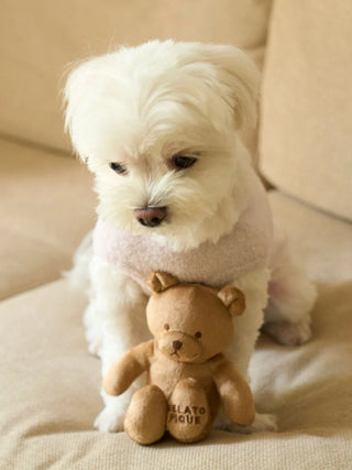 CAT & DOG Bear Toy