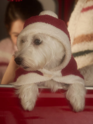 White dog wearing a red and white hoodie sitting by the window, cozy and stylish in a soft, festive outfit for pets.