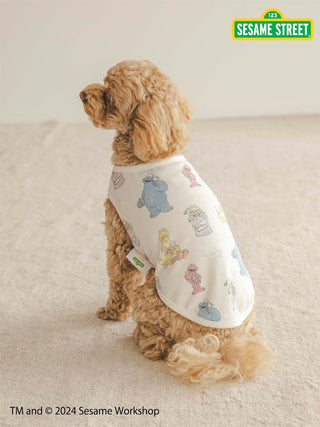 Adorable dog wearing Sesame Street themed cut-and-sew pullover with colorful character prints, sitting on a light carpet.