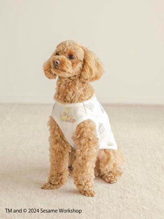 Small dog wearing a Sesame Street-themed cut-and-sew pullover with cat and dog design.