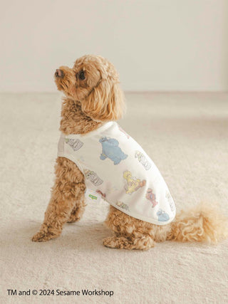 Sesame Street CAT&DOG  Pet Clothes in Off White, Premium Luxury Pet Apparel, Pet Clothes at Gelato Pique USA