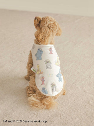 Sesame Street CAT&DOG  Pet Clothes in Off White, Premium Luxury Pet Apparel, Pet Clothes at Gelato Pique USA