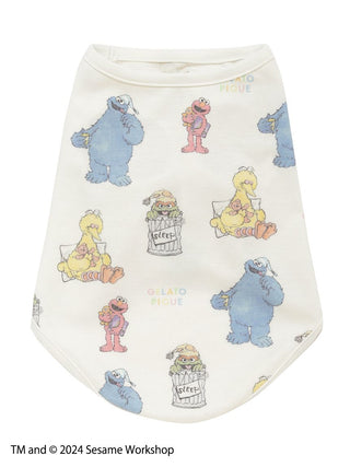 Sesame Street CAT&DOG  Pet Clothes in Off White, Premium Luxury Pet Apparel, Pet Clothes at Gelato Pique USA