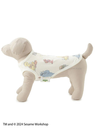 Sesame Street CAT&DOG  Pet Clothes in Off White, Premium Luxury Pet Apparel, Pet Clothes at Gelato Pique USA