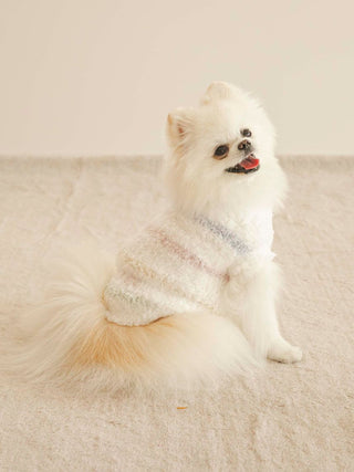 Fluffy white dog wearing a colorful gelato-themed pet sweater from CAT&DOG.