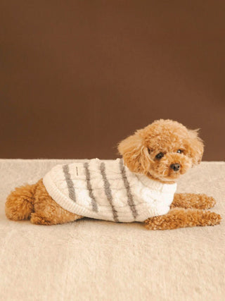 Fluffy dog wearing CAT&DOG Baby Moco Aran Pet Clothes, white knit sweater with grey stripes, lying on a cream-colored rug.