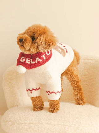 Cute dog wearing CAT&DOG Nordic pet clothes with "Gelato" text, standing on a chair, showcasing cozy white and red sweater.