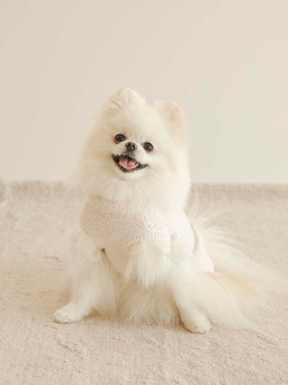 Fluffy dog wearing CAT&DOG Baby Moco Animal Pet Clothes, showcasing comfortable and stylish pet apparel.