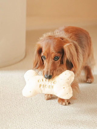 Dog playing with bone-shaped plush pet toy on carpet