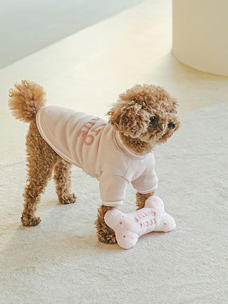 Cute dog playing with a CAT & DOG bone-shaped plush toy, wearing a stylish outfit.