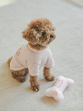 Small brown dog wearing a pink shirt sits on carpet beside a bone-shaped plush pet toy; ideal for cats and dogs.