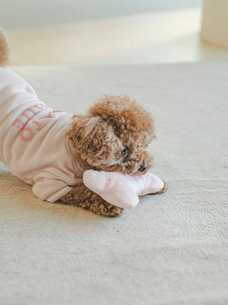 Dog playing with bone-shaped plush pet toy on a beige carpet.