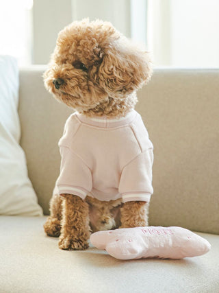 Small dog wearing a sweater sitting on a couch with a pink bone-shaped plush pet toy.