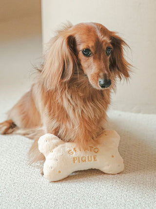 Dachshund playing with a bone-shaped plush pet toy, CAT & DOG brand, on a soft carpet. Ideal for cozy pet moments and playtime.