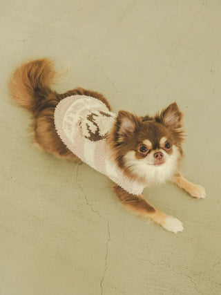 Brown Chihuahua wearing cream-colored CAT&DOG Premium Loungewear by Gelato Pique USA, perfect pet sleepwear.