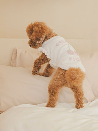 Cute brown poodle wearing Cherry Jacquard pet clothes, standing on a bed. Perfect for dogs and cats, stylish and comfortable pet attire.