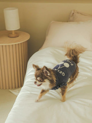 Small dog wearing a navy "CAT & DOG Smoothie Cherry Jacquard" pet sweater, standing on a bed next to a wooden nightstand.