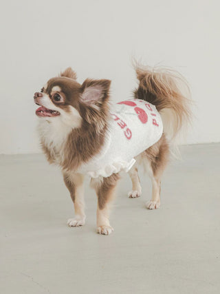 Small dog wearing CAT & DOG Smoothie Cherry Jacquard Pet Clothes with cherry print design, standing on light grey floor.