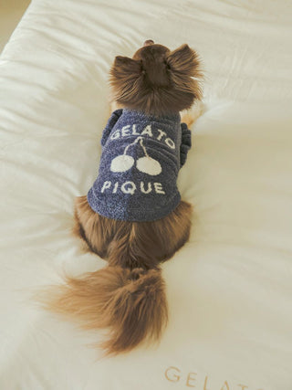 Small dog wearing a cherry jacquard pet sweater, featuring the words 'Gelato Pique' on a cozy white bed.