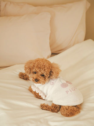 Small dog wearing a white Cherry Jacquard pet sweater, lying on a cream-colored bed.