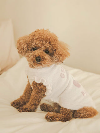 Poodle wearing Cherry Jacquard pet clothes, sitting on a bed. Stylish cat & dog apparel, non-returnable post-purchase.