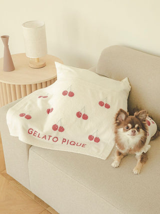 Cherry pattern pet blanket with dog on sofa, CAT & DOG brand. Soft, stylish pet accessory.