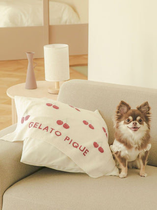 Pet blanket with cherry pattern and 'Gelato Pique' text on a couch, beside a small dog sitting.