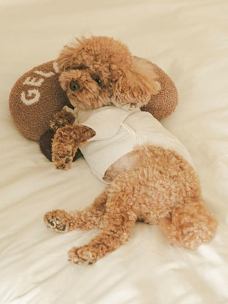 Brown dog resting on Gelato Pique premium ice motif pet pillow, ideal for loungewear and sleepwear.