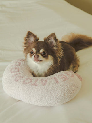 Alt Tag: Chihuahua resting on a pink Baby Moco Ice Motif Pet Pillow by Gelato Pique USA, premium loungewear and sleepwear.