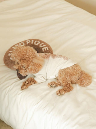 Brown poodle wearing a white shirt resting on a Gelato Pique ICE pillow, showcasing premium loungewear and sleepwear.