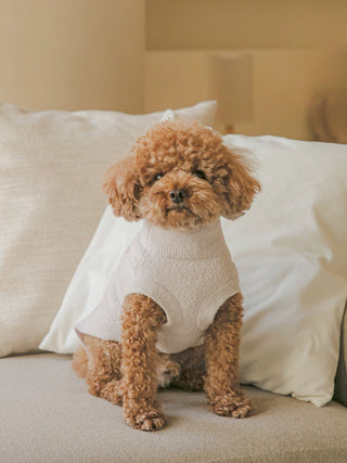 Brown poodle wearing a white Gelato Pique USA CAT&DOG Panda Jacquard high-neck pet sweater, featuring premium loungewear style.